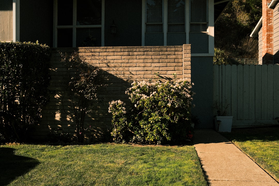 A beautiful modern suburban home, typical of Indianapolis neighborhoods like Carmel or Fishers, with a perfect green lawn on a bright, sunny day.